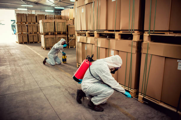 Best Best Pest Control Companies  in Onsted, MI
