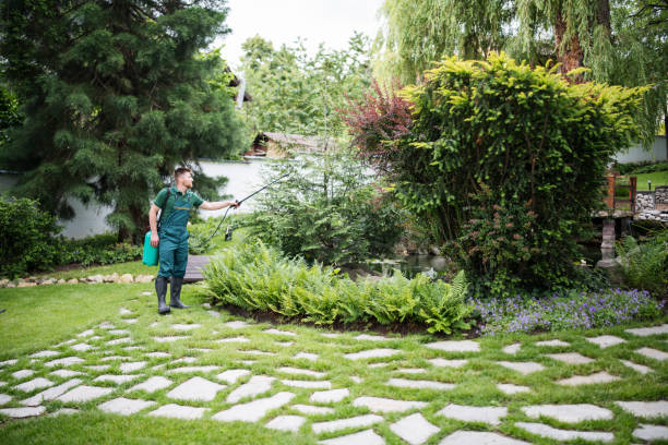 Best Insect Control  in Onsted, MI