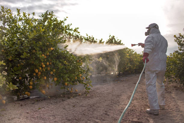 Best Mosquito Control Services  in Onsted, MI