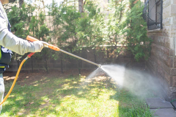 Best Residential Pest Control  in Onsted, MI