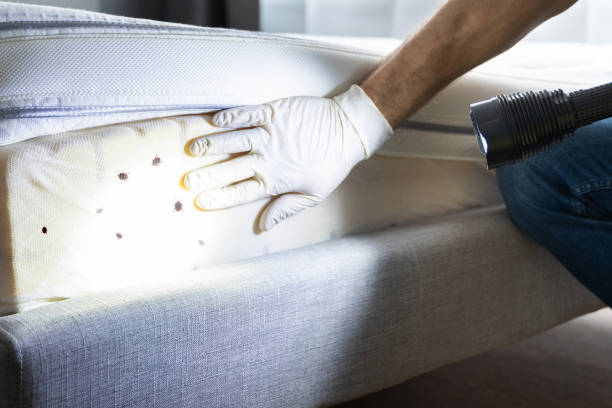 Best Affordable Pest Control Services  in Onsted, MI